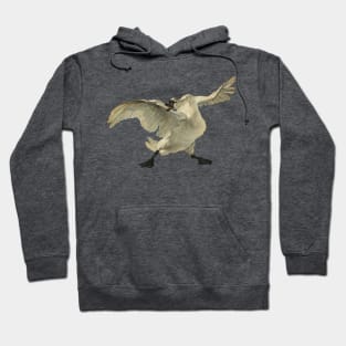 threatened swan jan asselijn Hoodie